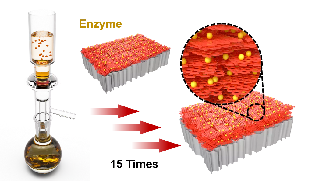 Enzymatic catalysis